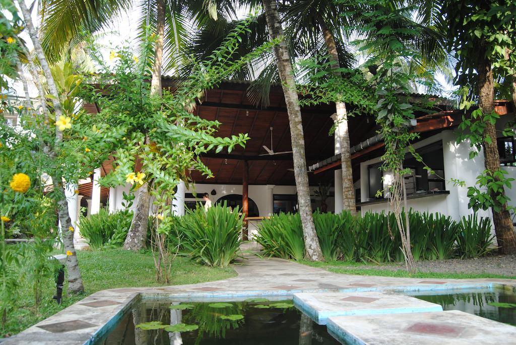 Paradise Garden Унаватуна Экстерьер фото